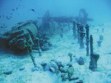 南海西北陆坡一号、二号沉船遗址提取文物900余件(套)(图1)