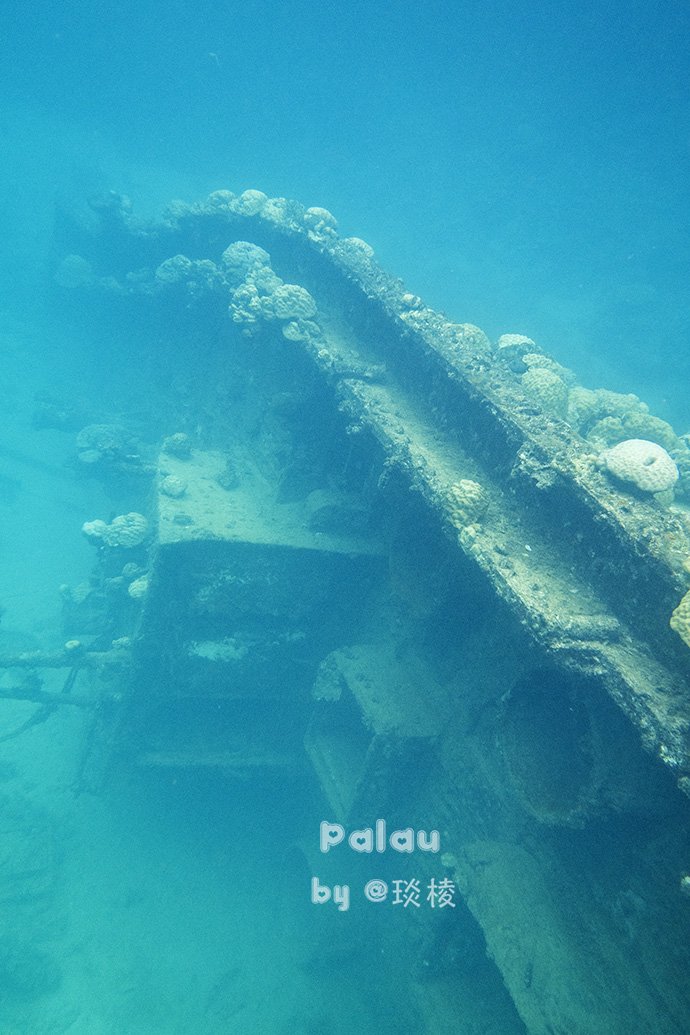 南海西北陆坡一二号沉船考古成果特展在中国（海南）南海博物馆开展(图1)