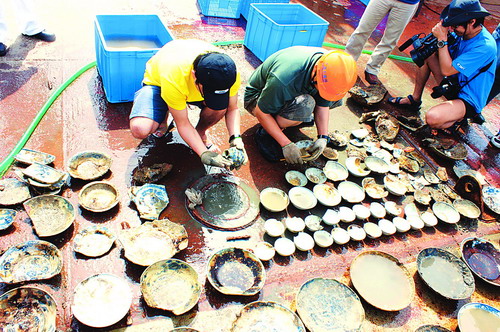 2020年沉没百年的定远舰打捞现场船上遗物令人不禁落泪(图1)