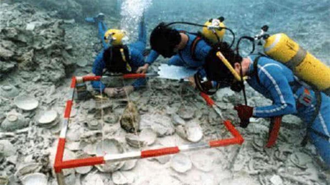 九游：直播出海打捞后我成了警局常客(图1)